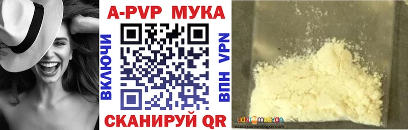 Alpha PVP СК КРИС Петропавловск-Камчатский