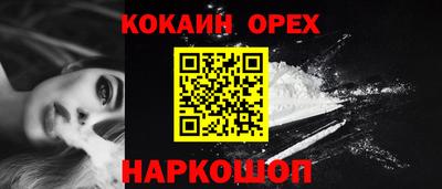 гидра Лесной
