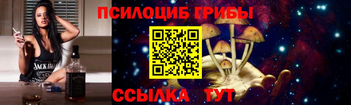 Галлюциногенные грибы прущие грибы Петропавловск-Камчатский